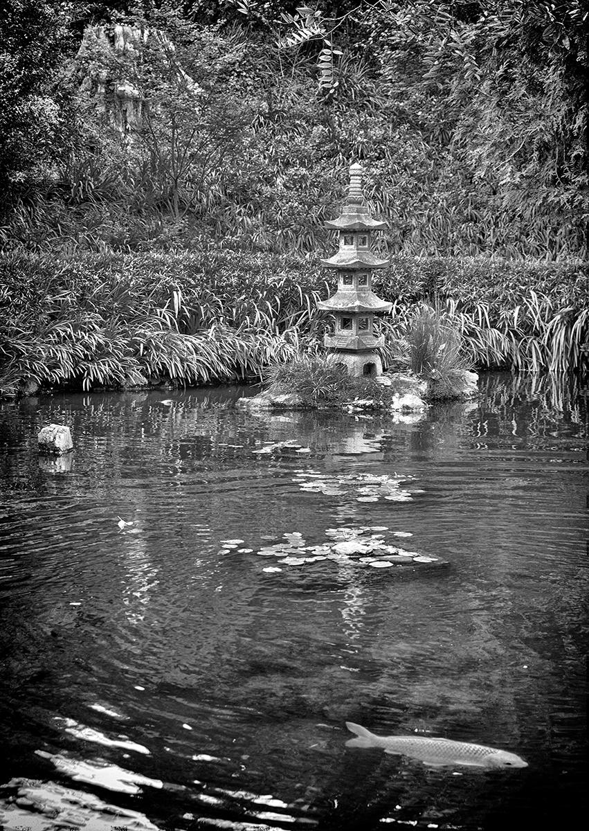 Japanese Garden #1 - San Francisco, California