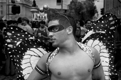 Butterfly - San Francisco, California